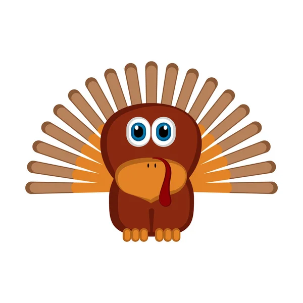 Pavo lindo aislado — Vector de stock