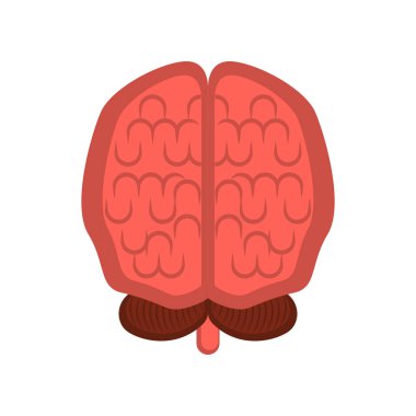 İzole insan beyin kesmek