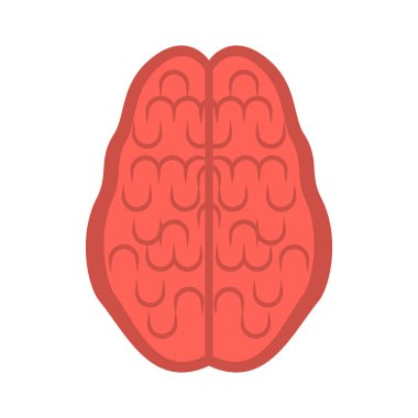 İzole insan beyin kesmek