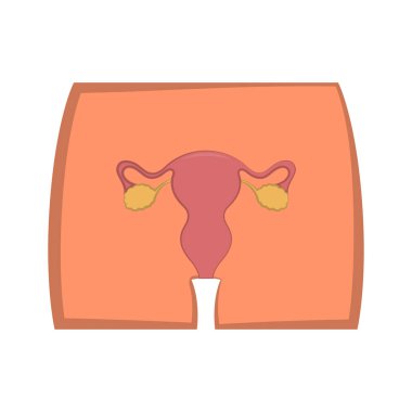 Bir vücutta kadın üreme sistemi