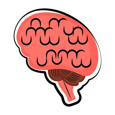 İzole insan beyni. Renkli çizimi