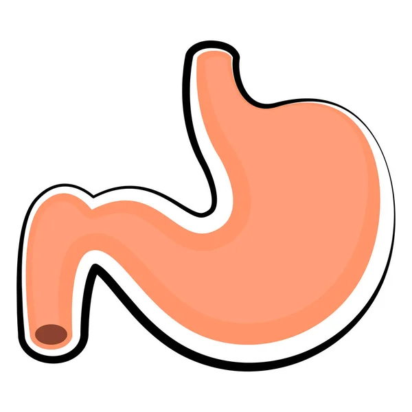 Aislado estómago humano. Dibujo coloreado — Vector de stock