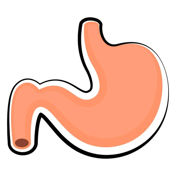 Isolierter menschlicher Magen. farbige Skizze — Stockvektor