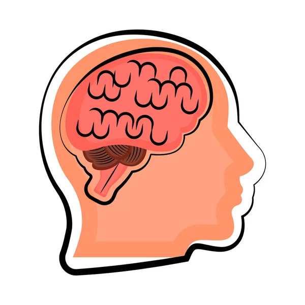 Cerebro humano aislado en un cuerpo — Vector de stock