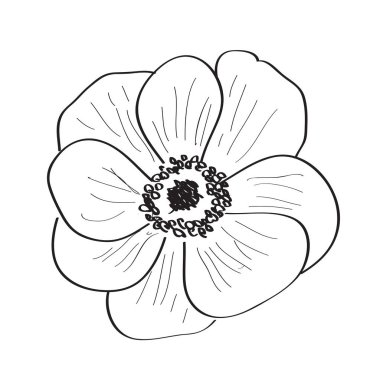 Ayrı bir çiçek çizimi.