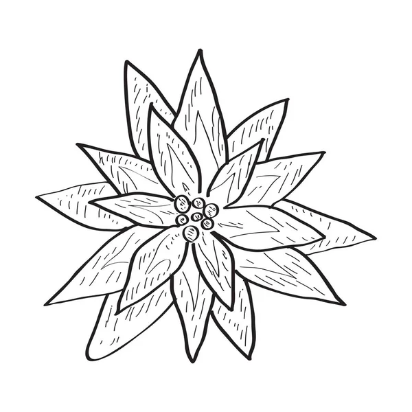 Изолированный Набросок Цветка Векторная Иллюстрация — стоковый вектор