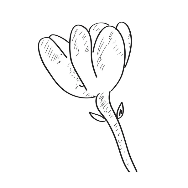 Μεμονωμένο σκίτσο λουλουδιού — Διανυσματικό Αρχείο