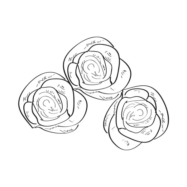 Schizzo isolato di una rosa — Vettoriale Stock