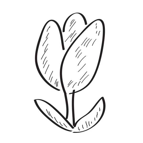 Vereinzelte Skizze einer Blume — Stockvektor