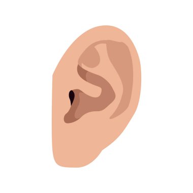 İzole insan kulak
