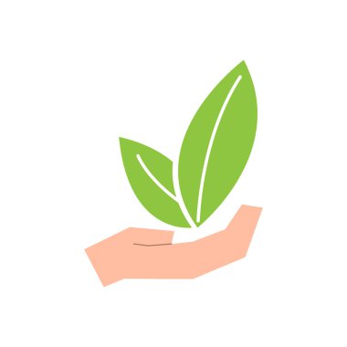 Bir elinde izole yaprakları