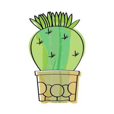 Bir saksı bitkisinde suluboya kaktüs