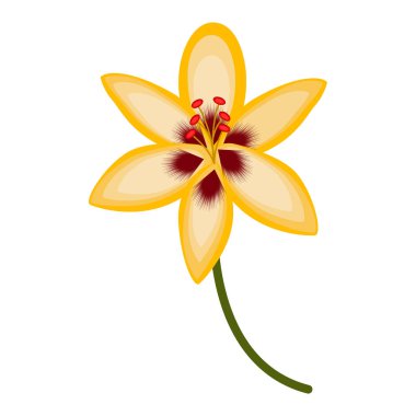 İzole edilmiş güzel çiçek.