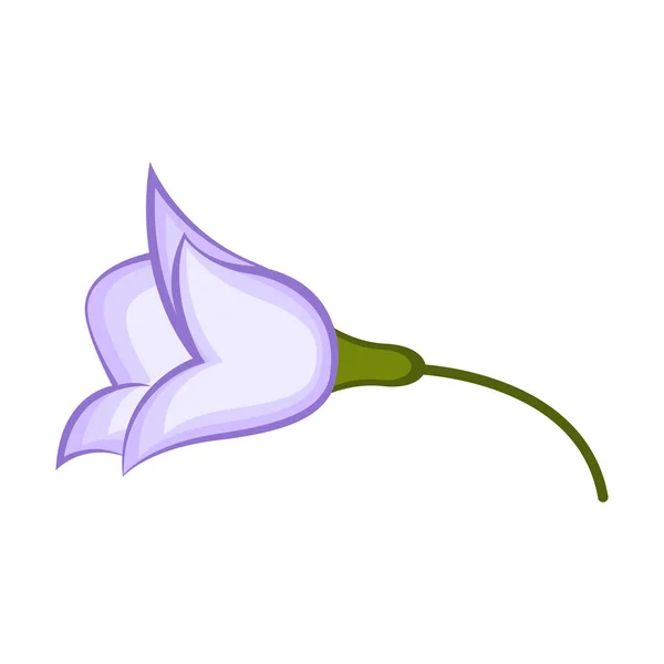 Isolé belle fleur — Image vectorielle
