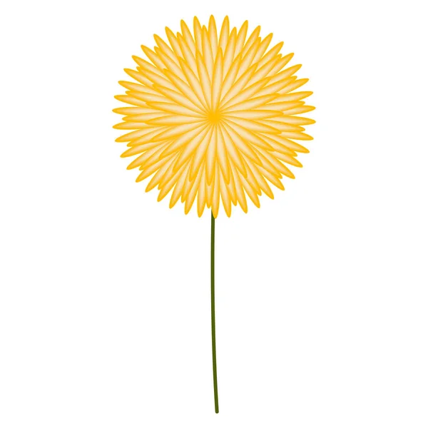 Isolé belle fleur — Image vectorielle