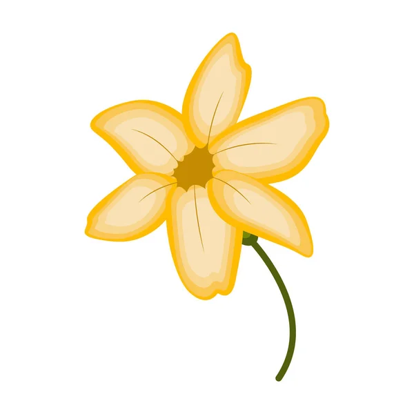 Flor hermosa aislada — Vector de stock