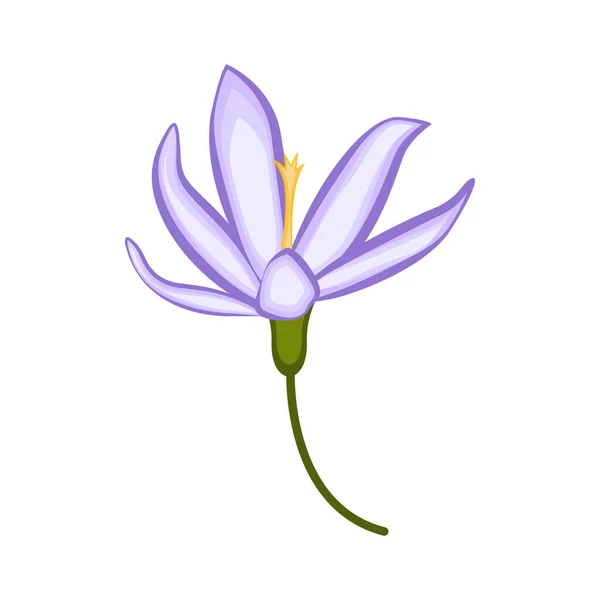 Flor hermosa aislada — Vector de stock