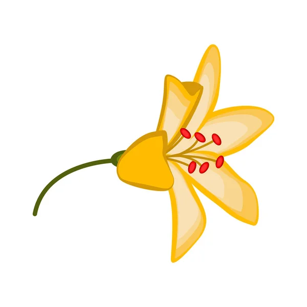 Flor hermosa aislada — Vector de stock