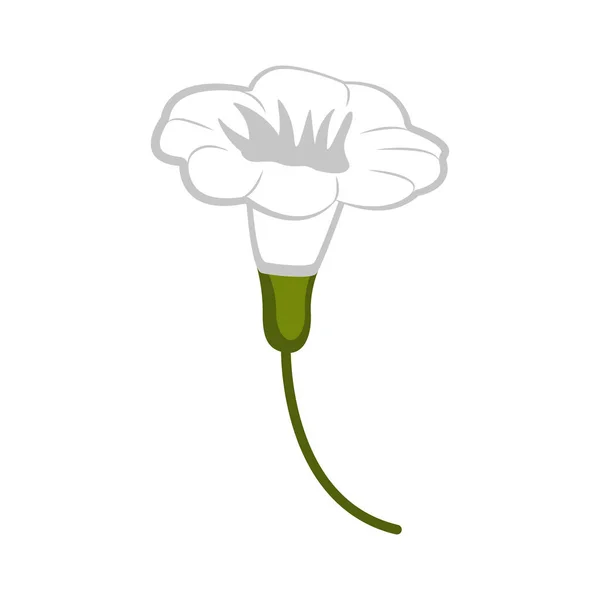 Ізольована красиву квітку — стоковий вектор