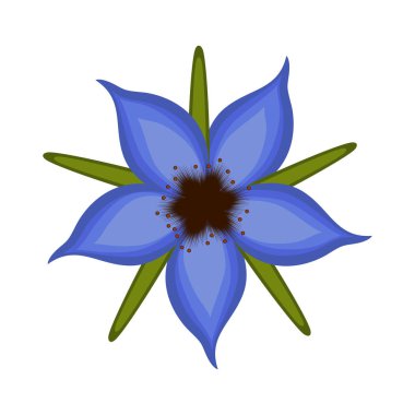 İzole edilmiş güzel çiçek.