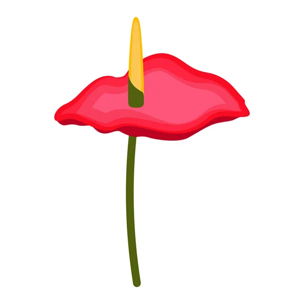 Flor aislada de Anthurium — Vector de stock