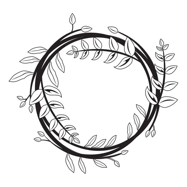 Defne çelengi yalıtılmış anahat