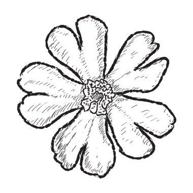 Beyaz arka plan üzerinde bir çiçeğin izole çizimi