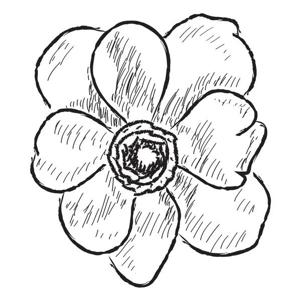 白い背景に花の孤立したスケッチ — ストックベクタ