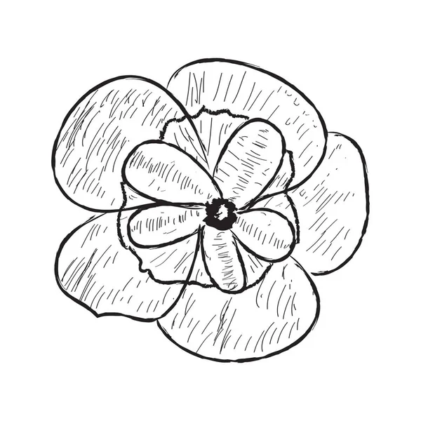 Croquis isolé d'une fleur sur fond blanc — Image vectorielle