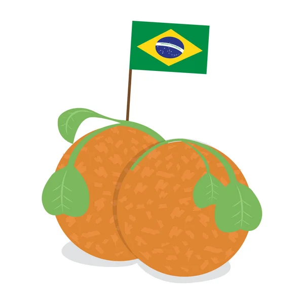Ізольовані акав з прапором Бразилії — стоковий вектор