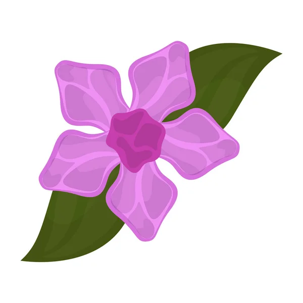 Изолированный лиловый цветок — стоковый вектор