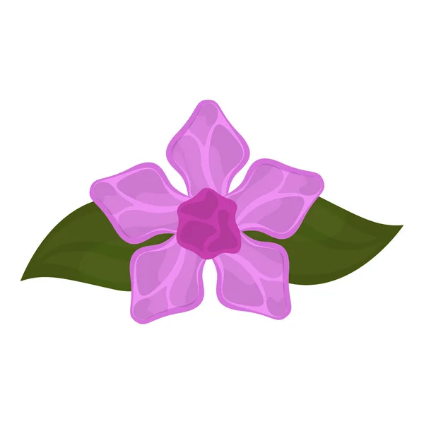 Flor de lila aislada — Vector de stock