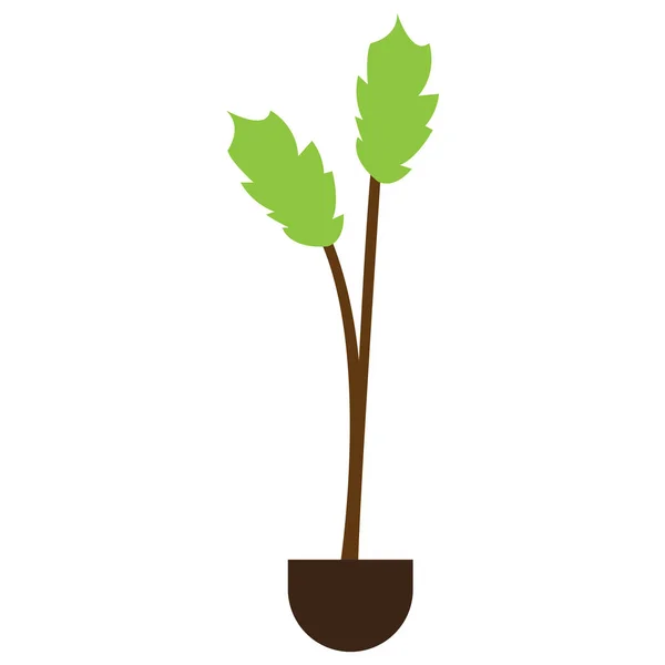Plantez sur un pot — Image vectorielle