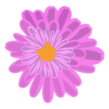 Ayrı bir çiçek resmi