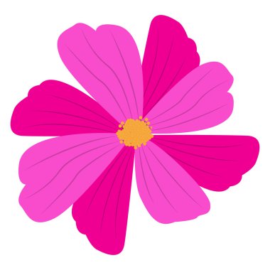 Ayrı bir çiçek resmi