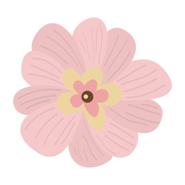 Ayrı bir çiçek resmi