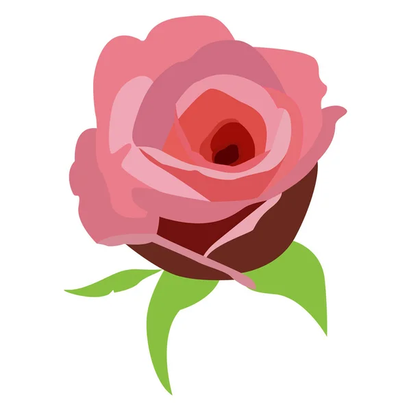 Flor de rosa aislada — Vector de stock