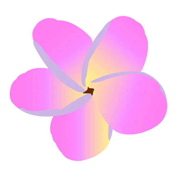 Image de fleur isolée — Image vectorielle