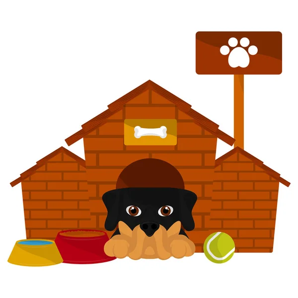 かわいい犬の漫画と犬の家 — ストックベクタ