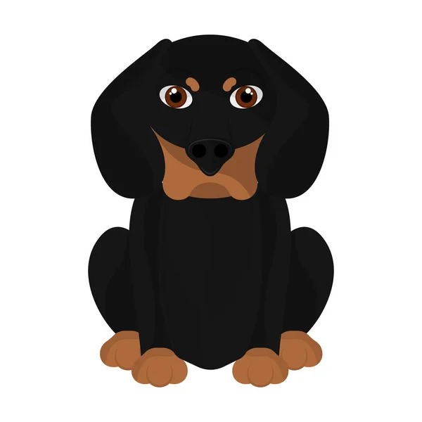 Isolado bonito dachshunds desenhos animados — Vetor de Stock