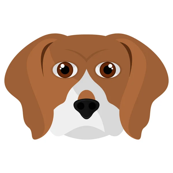 İzole sevimli beagle karikatür — Stok Vektör