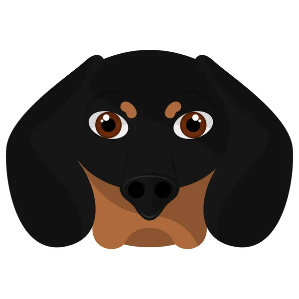 Isolado bonito dachshunds desenhos animados — Vetor de Stock