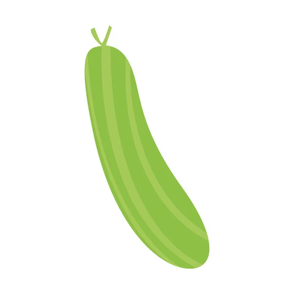 Geïsoleerde komkommer icoon — Stockvector