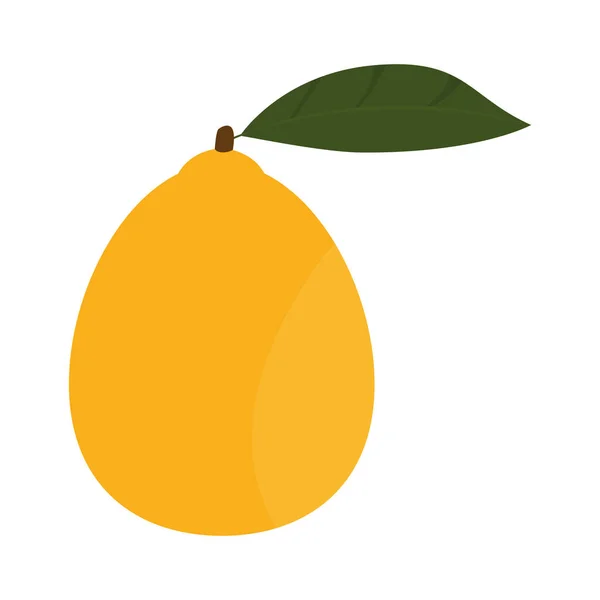 Icono naranja aislado — Vector de stock