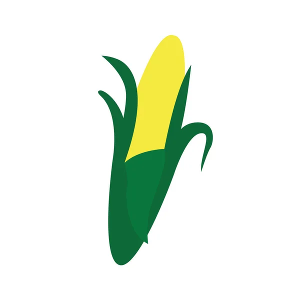 Icona della pannocchia di mais isolata — Vettoriale Stock