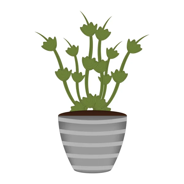 Plante dans un pot — Image vectorielle