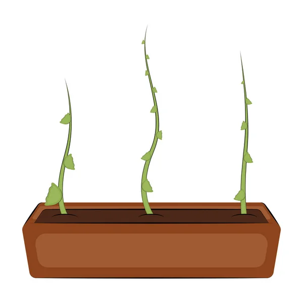 Planta en una olla — Vector de stock