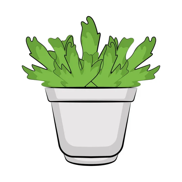 Plant in een pot — Stockvector