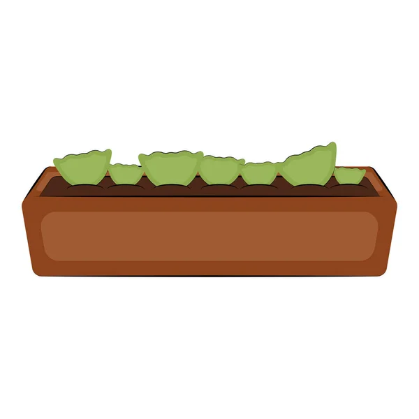 Planta en una olla — Vector de stock