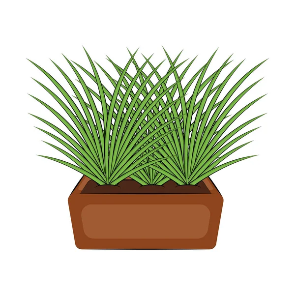 Plante dans un pot — Image vectorielle